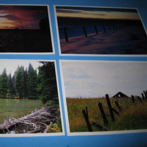Lot of 4 Real Photo Art Print Cards Lot #2 - Picture 3 of 7